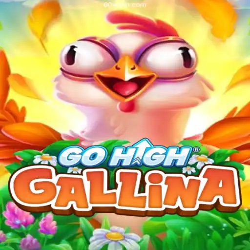 Exploring the Excitement of GoHighGallina